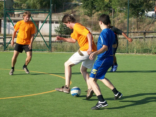 议重演